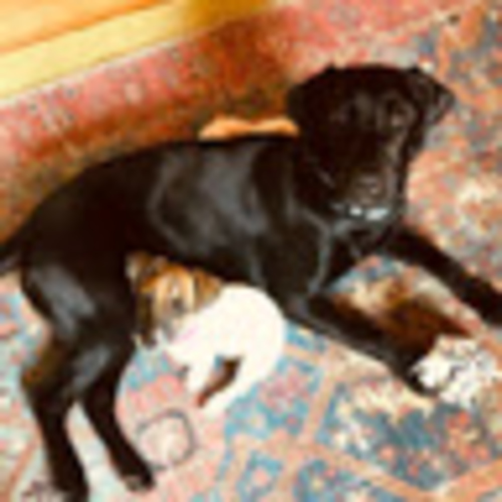 Meet your Posher, Sarah